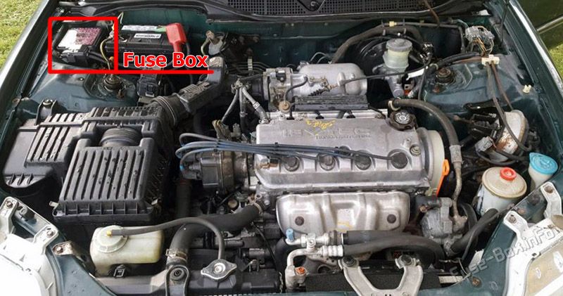 Location of the fuses in the engine compartment: Acura EL (1997-2000)