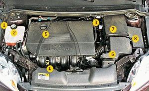 Расположение блоков предохранителей и реле Ford Focus 2 - схема 1 Расположение блоков предохранителей и реле Ford Focus 2 - схема 1
