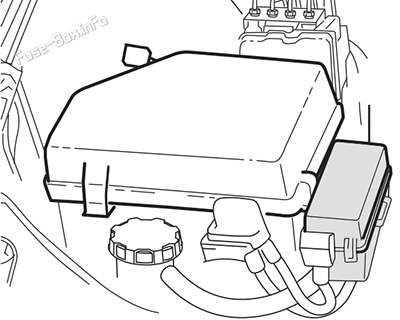 LPG fuse/relay box location: Holden Ute (VE; 2007-2013)
