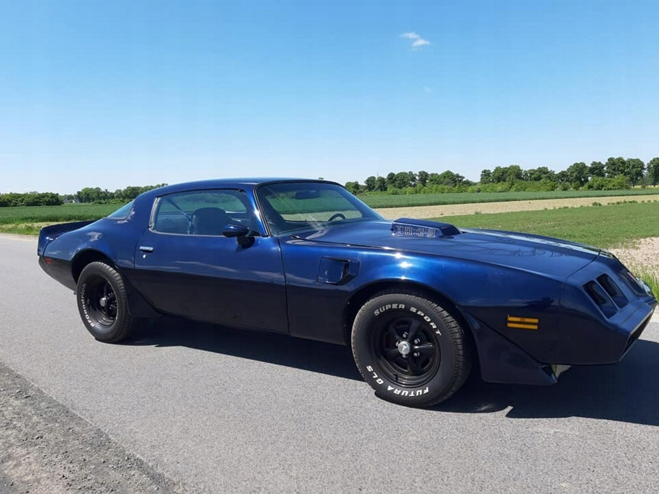 Предохранители Pontiac Firebird 1988-1992